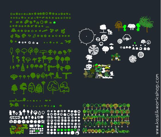 Plants
