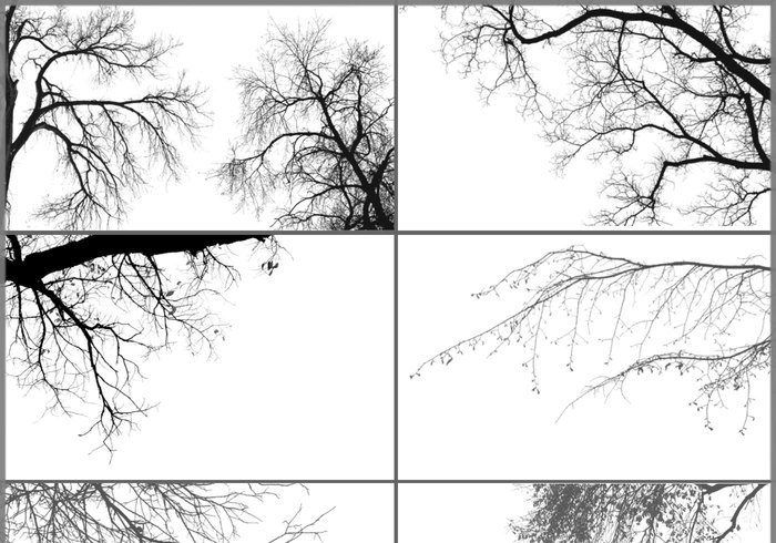 Tree Brushes