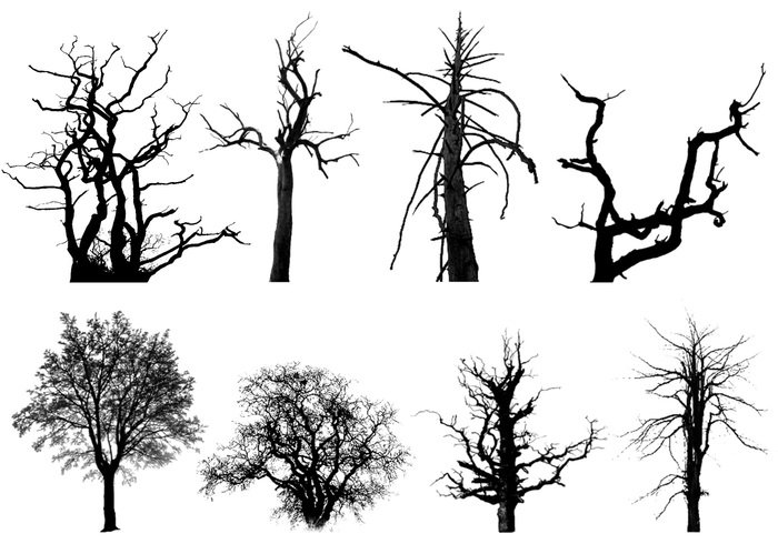 Dead Trees Brushes