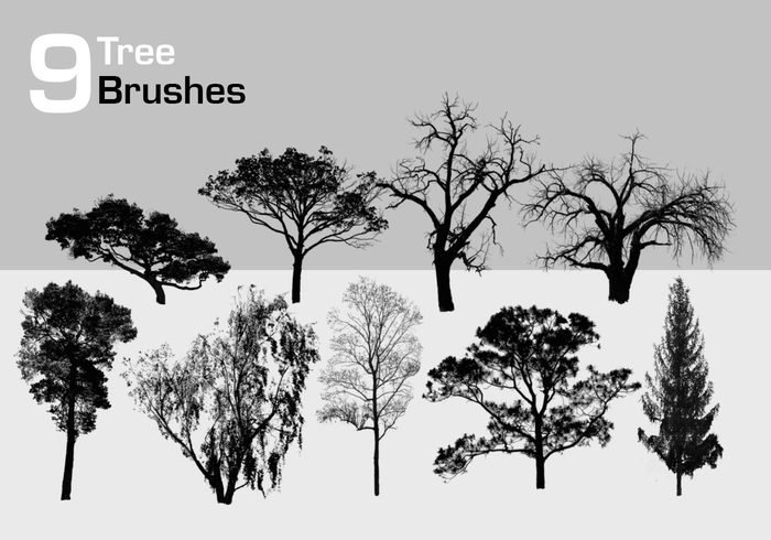 Brushes Tree