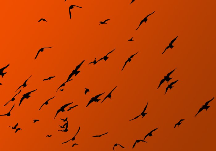 Brushes Birds Design