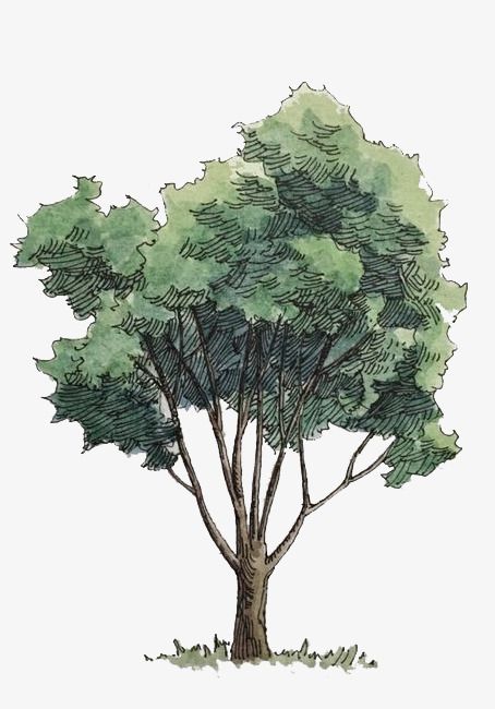 Sketch 2D Tree