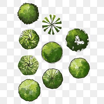 Landscape Greenery Top View